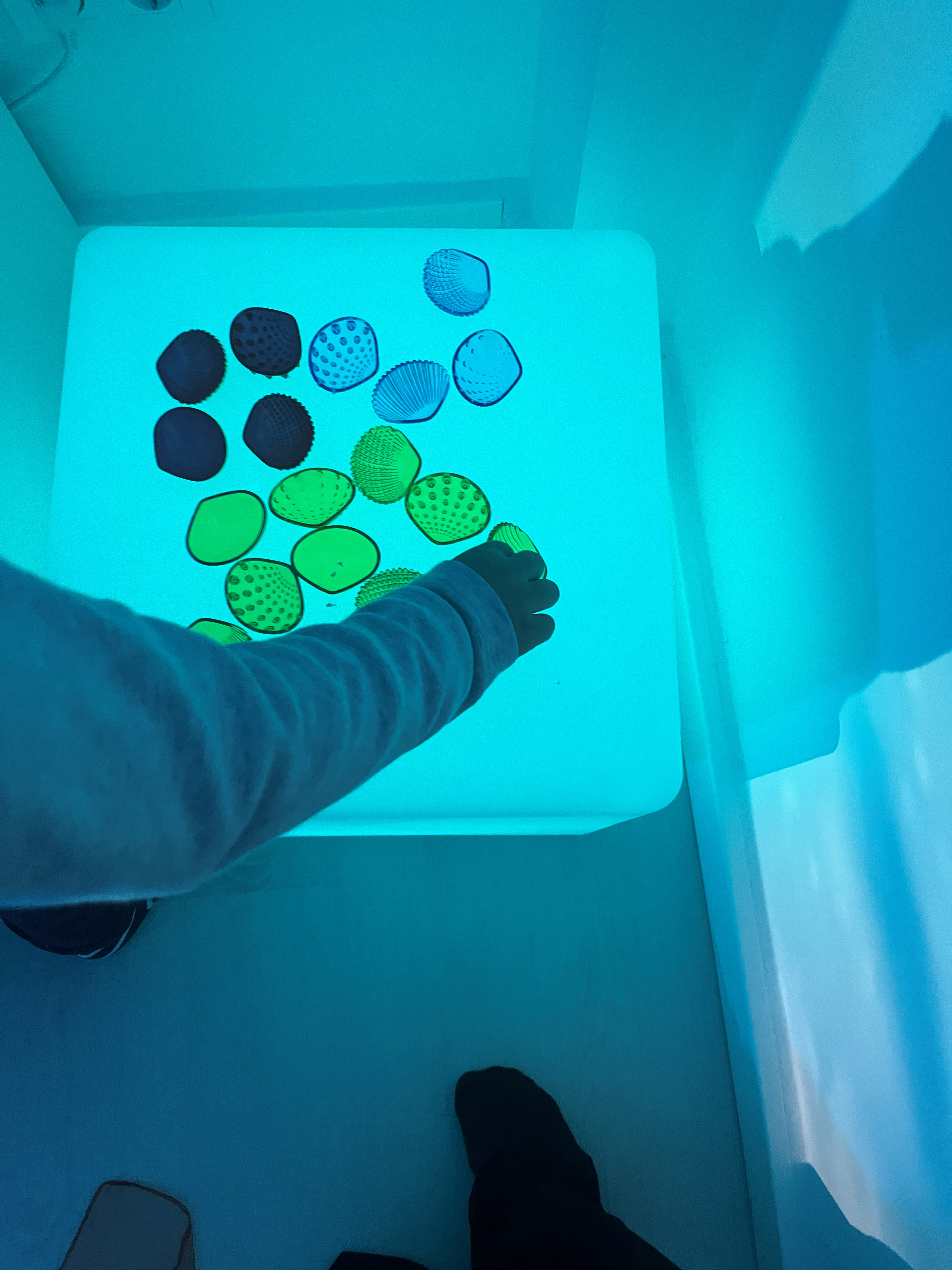 Sala Snoezelen Esnatuz - Espacio envolvente de calma